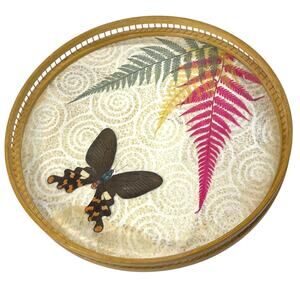 Vintage Bamboo Tray Butterfly Wing Fern Specimen Lace 11.25 Round